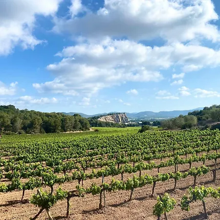 Simba By Hello Homes