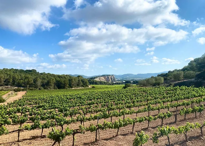 Simba By Hello Homes